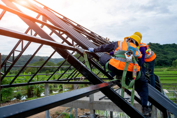 Best Roof Replacement Cost  in Jerseyvle, IL