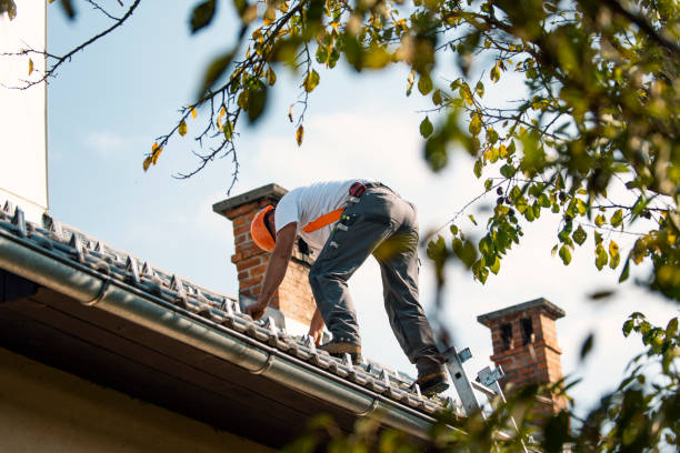 Best Best Roofing Contractors  in Jerseyvle, IL