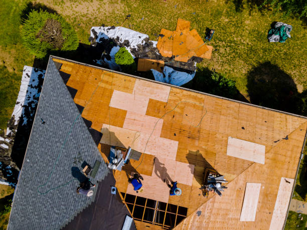 Best Residential Roofing Contractor  in Jerseyvle, IL