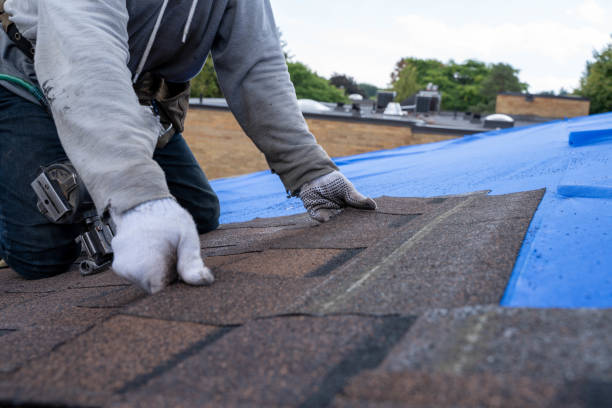 Best Tile Roofing Contractor  in Jerseyvle, IL