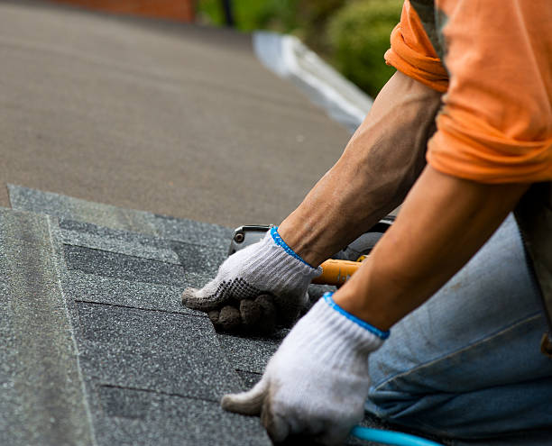 Best Residential Roofing Contractor  in Jerseyvle, IL