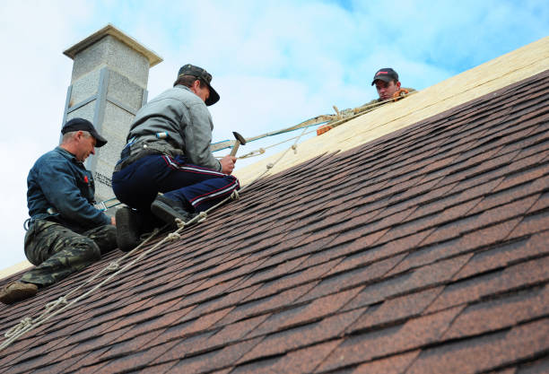 Best Storm Damage Roof Repair  in Jerseyvle, IL