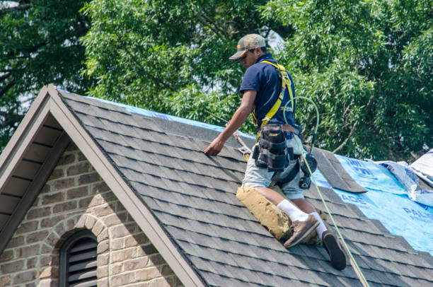 Best Roof Inspection Near Me  in Jerseyvle, IL